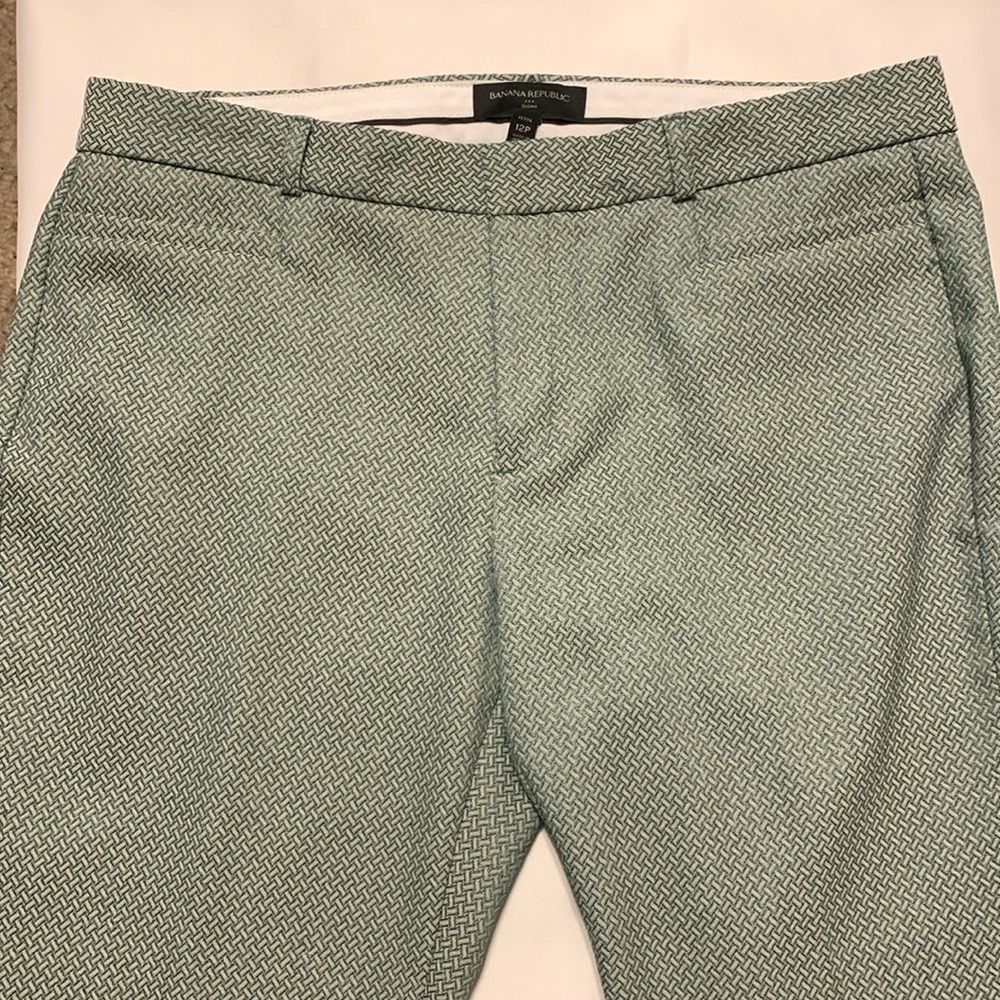 Banana Republic Factory Green Sloan Pants  12P